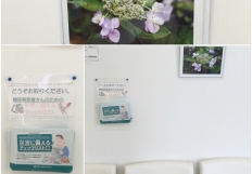 薬局での防災対策啓蒙活動!【やどめ調剤薬局】